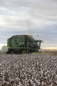 Harvest