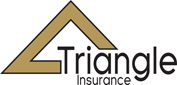 Triangle Logo