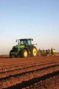 Cotton Planting