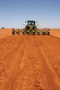 Tractor Planting