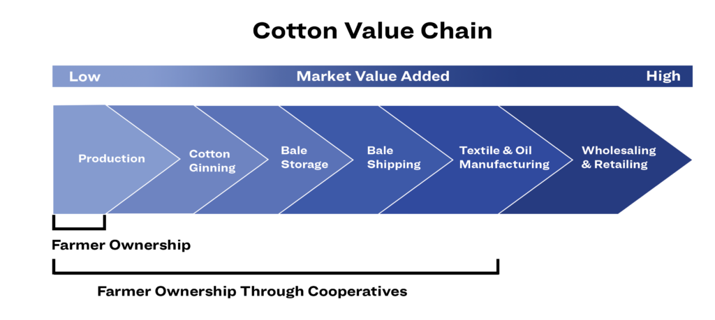 Cotton Value Chain