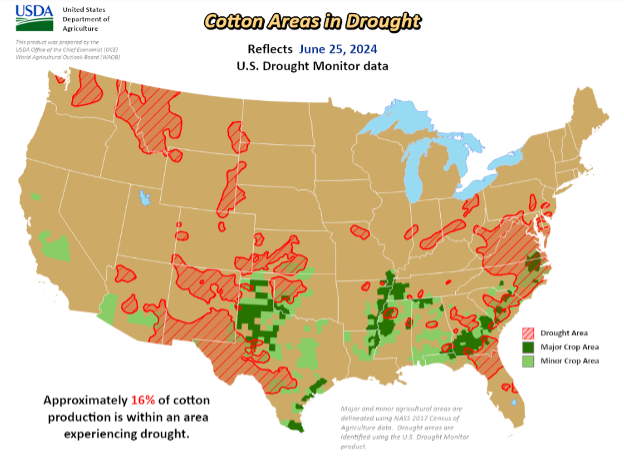 https://pcca.com/wp-content/uploads/2024/06/Cotton-Area-Drought.png