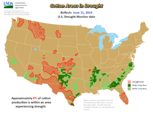 https://pcca.com/wp-content/uploads/2024/06/Cotton-Areas-in-Drought-300x226.png